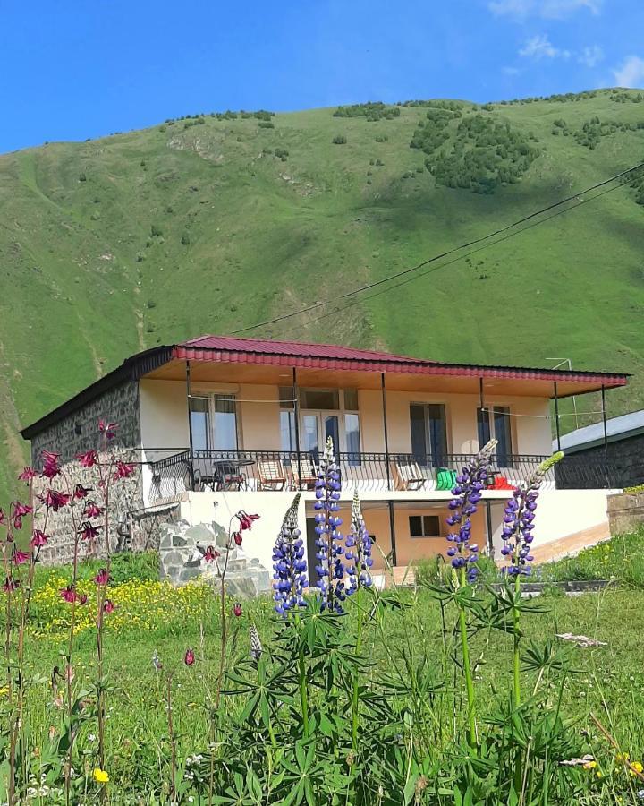 Cozy Hotel Kazbegi Stepantsminda Exterior foto